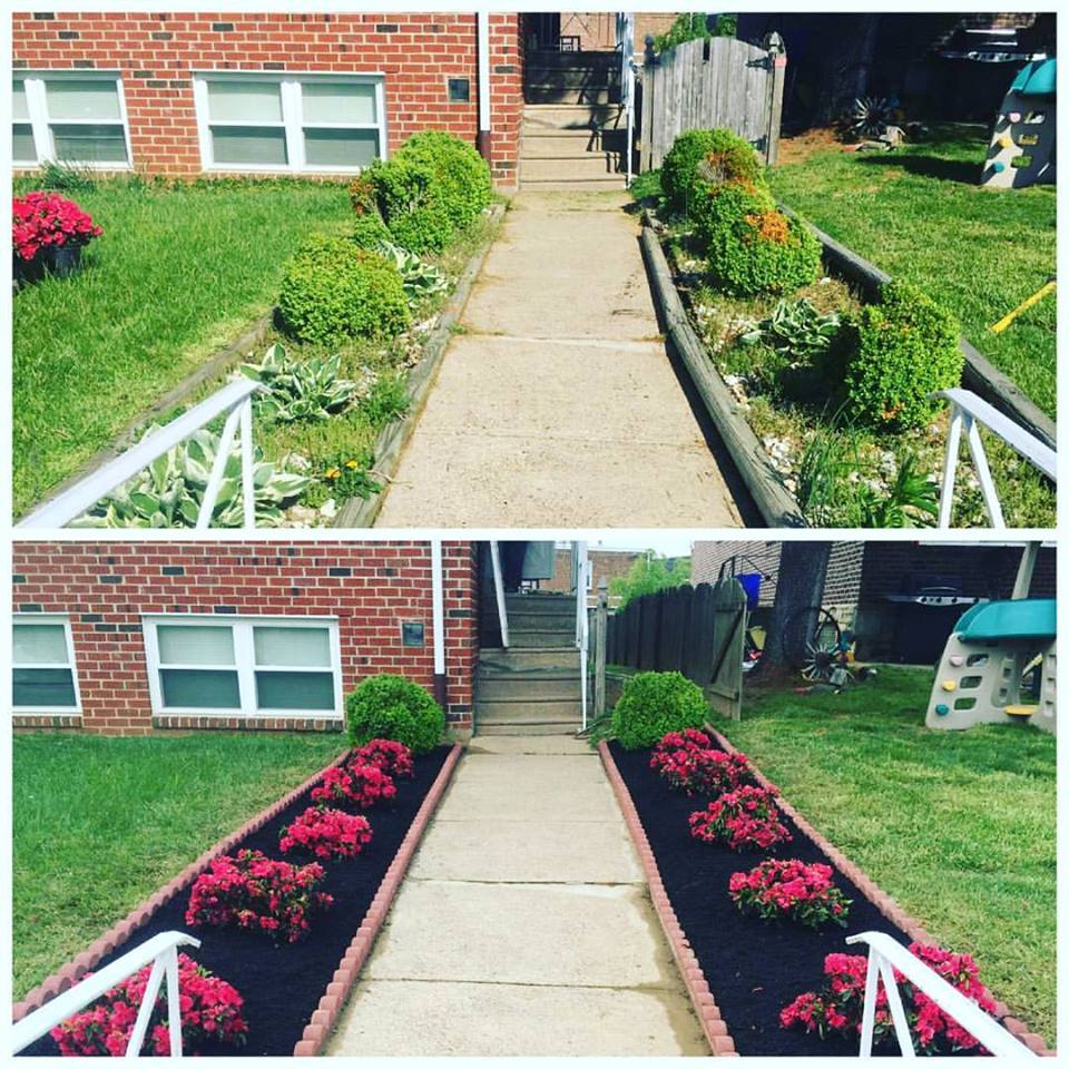 Mulch.jpg